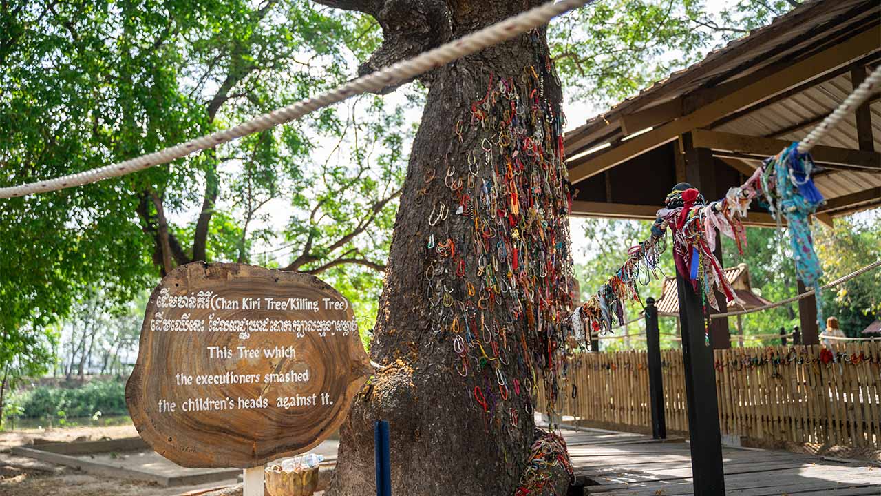 Cheong Ek memorial tree, Phnom Penh